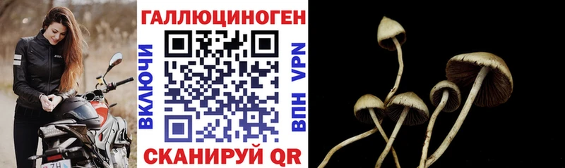 Галлюциногенные грибы мицелий  Любим 